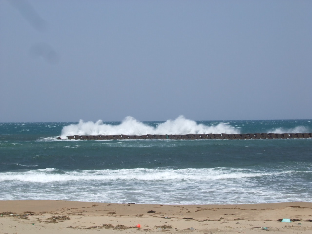a0040929_21435197.jpg