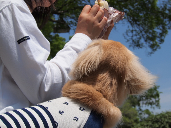 １１年５月１５日　水元公園でお散歩♪_c0117831_19411351.jpg