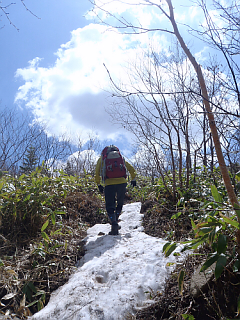 2011年05月14日（土）：四阿山～根子岳_b0032437_2184730.jpg