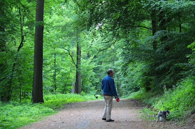c0153740_29030.jpg