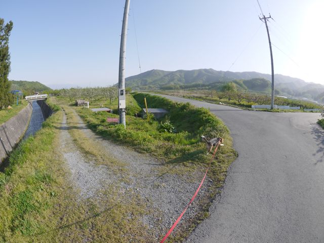 田植えは まだ_c0190940_8372367.jpg