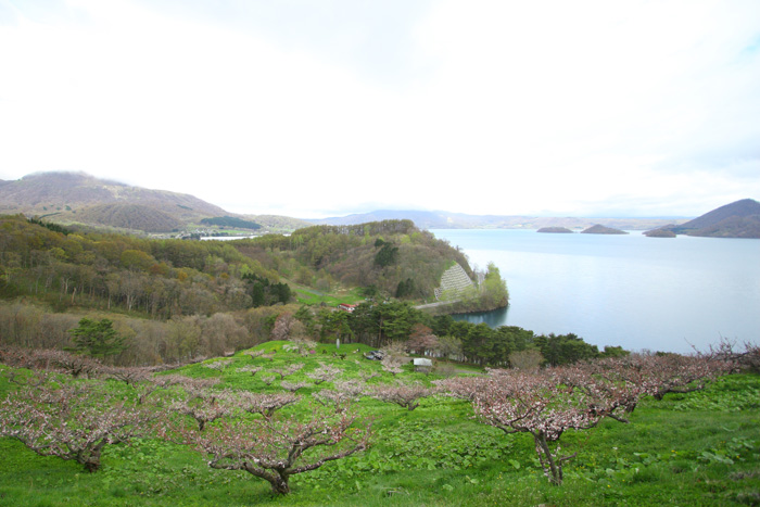 f0171541_21551161.jpg