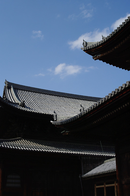 f0152550_1757796.jpg