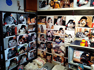 5月15日(日)〜29日(日)丸山商店にて3つ編みプロジェクト途中経過報告チャリティー写真展開催!_a0028451_1132242.jpg