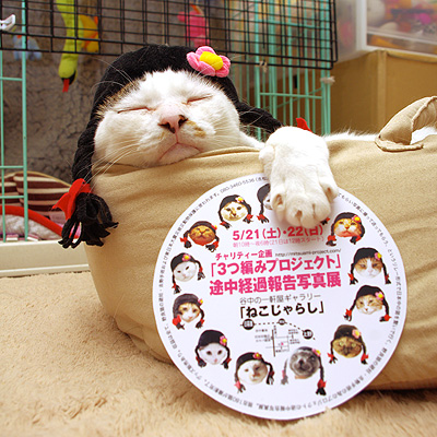 5月15日(日)〜29日(日)丸山商店にて3つ編みプロジェクト途中経過報告チャリティー写真展開催!_a0028451_184099.jpg