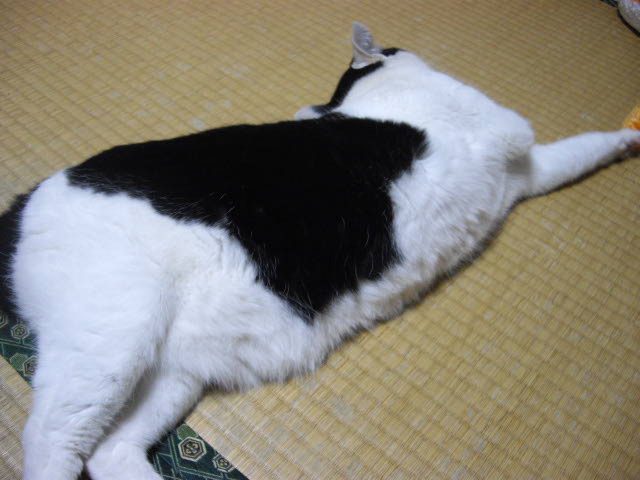 d0116059_100821.jpg