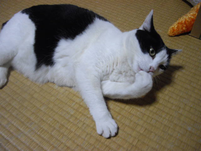 d0116059_1011581.jpg