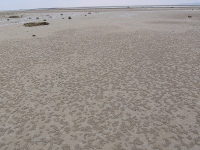 c0180460_2354591.jpg
