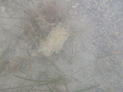 c0180460_2357050.jpg