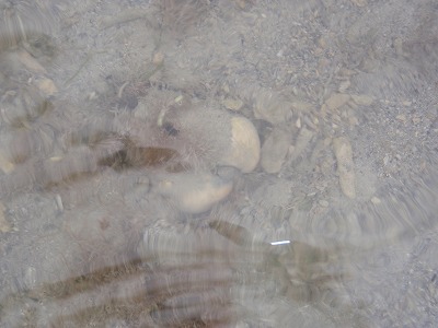 c0180460_23584272.jpg