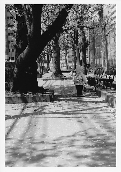 SAKURA Monochrome*_a0180961_22253317.jpg