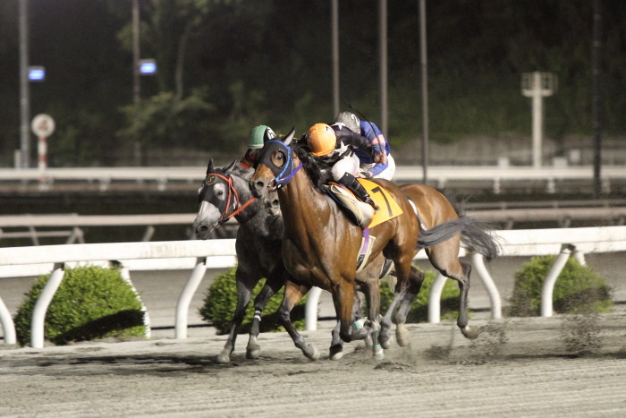 2011年5月14日（土） 高知競馬 10R いの町氷室まつり特別 AイBイ_a0077663_1655372.jpg