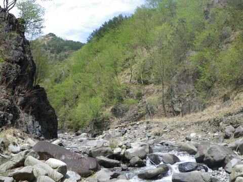 b0212164_82569.jpg