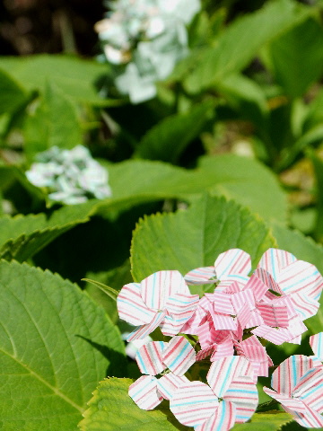 マスキングテープで作るあじさい おやつのお花 きれい カワイイ いとおしいをデザインしましょう