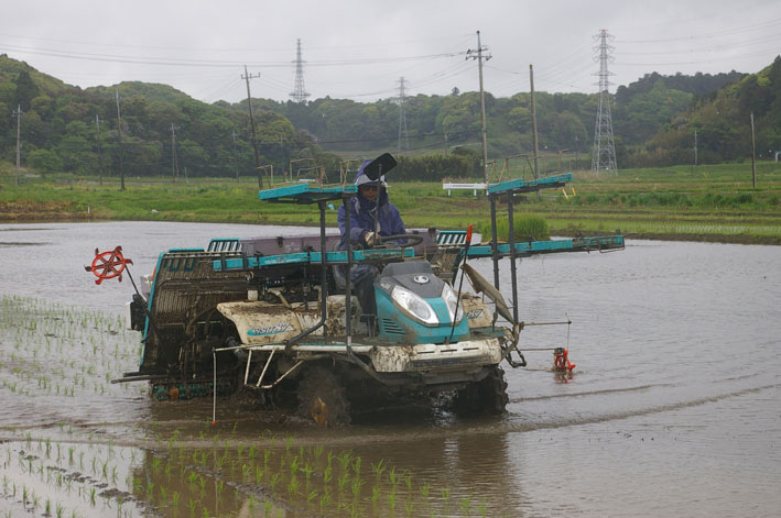 東日本大震災で１カ月近く遅れた実家の田植え（５・７）_c0014967_1762513.jpg