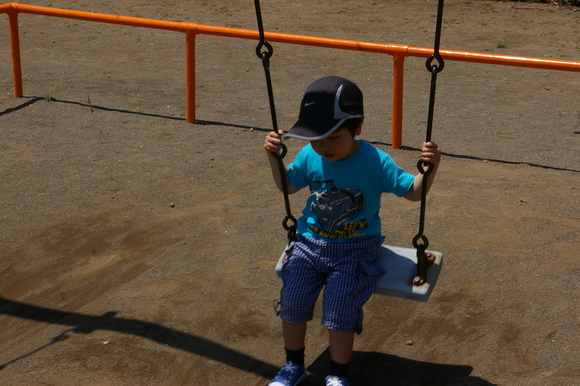 今日のできごと: a habitual Sunday_a0186568_20304250.jpg