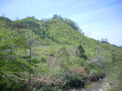 c0153173_22431483.jpg