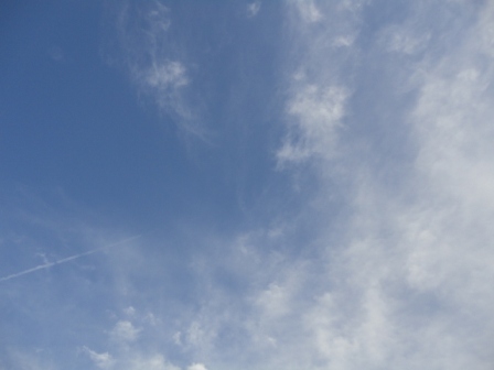 d0109373_40362.jpg