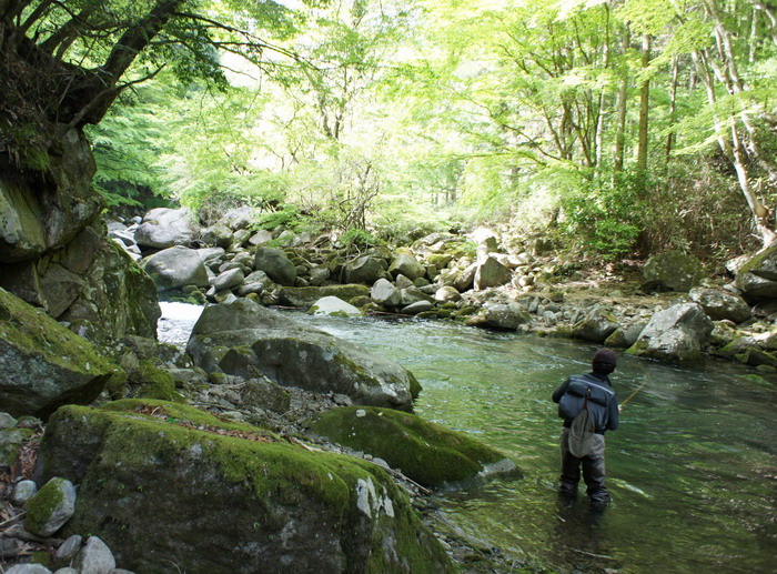c0197578_6222094.jpg