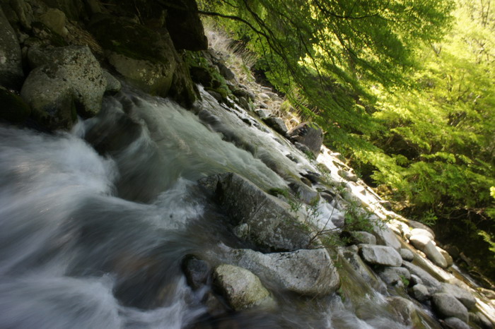 c0197578_6403544.jpg