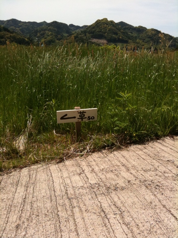 大山千枚田の1日 one!_a0191183_18502354.jpg