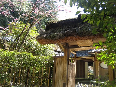 c0229483_10515145.jpg