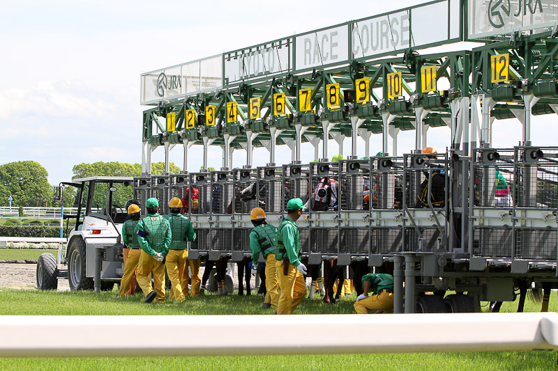 京都の淀競馬場へ 2 ぴんぼけふぉとぶろぐ