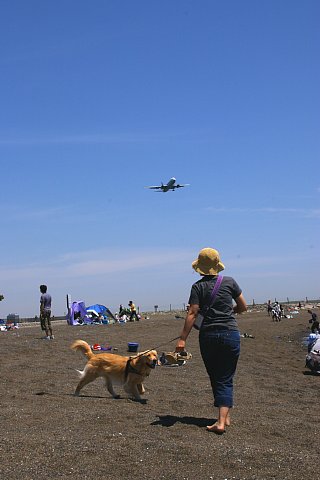 海と飛行機とラン_c0000085_21364845.jpg