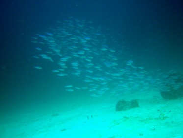 ザ・中性浮力_f0144385_0392913.jpg