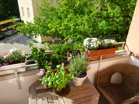 c0180686_2011229.jpg