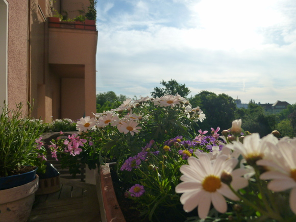 c0180686_2012126.jpg