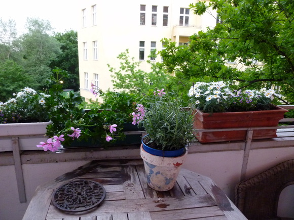c0180686_20123972.jpg