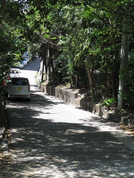 e0065086_1154953.jpg