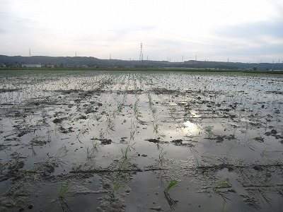 f0234087_2137836.jpg