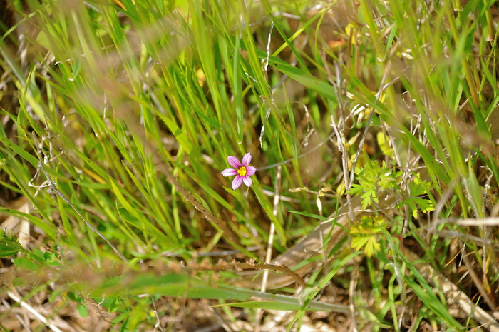 b0217090_120216.jpg