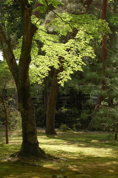 南禅寺～琵琶湖_c0057390_2219557.jpg