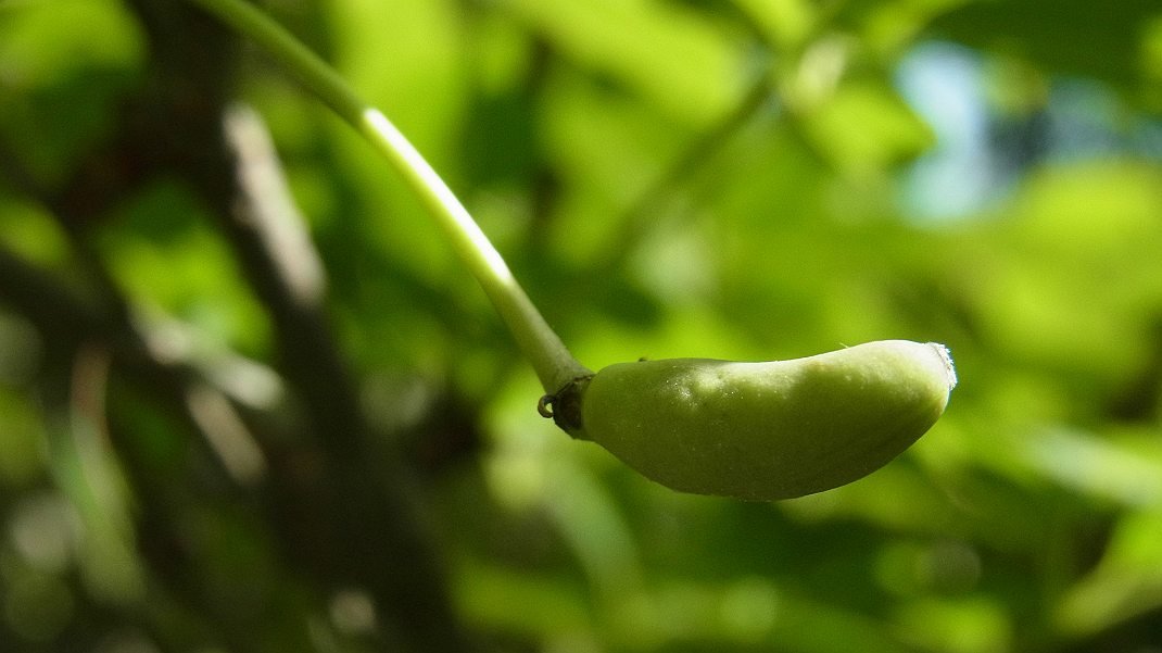 a0152692_18251133.jpg