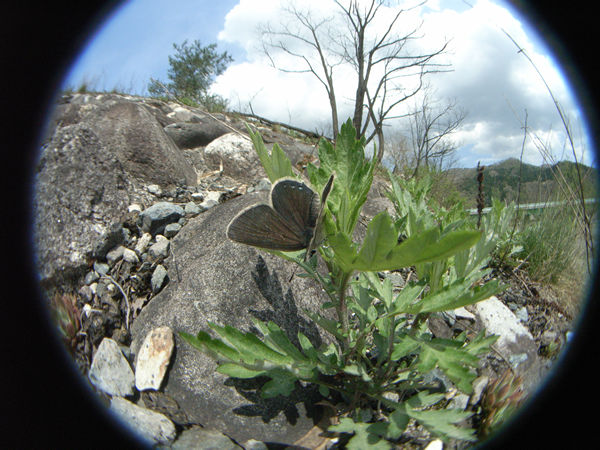 c0049095_22232426.jpg