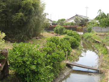 a0117599_0344267.jpg