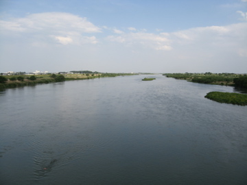 a0117599_0364851.jpg