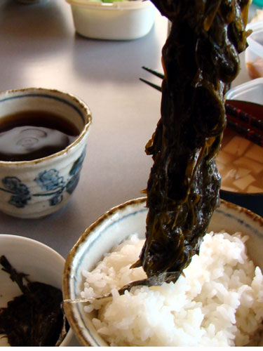 クロメ_a0047200_19431792.jpg