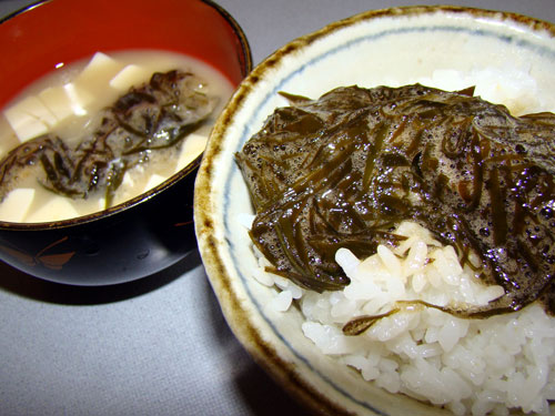 クロメ_a0047200_19431812.jpg