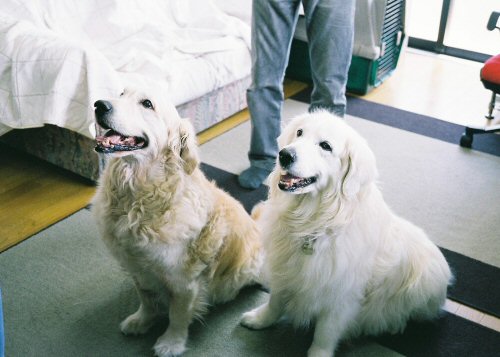 c0050400_2372566.jpg