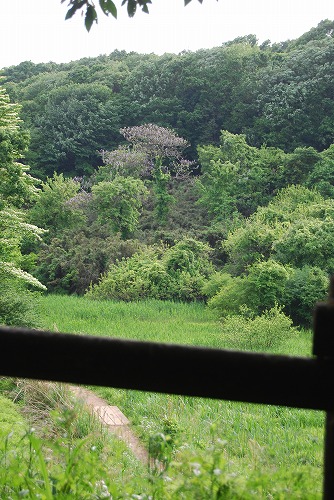 c0124100_23354884.jpg