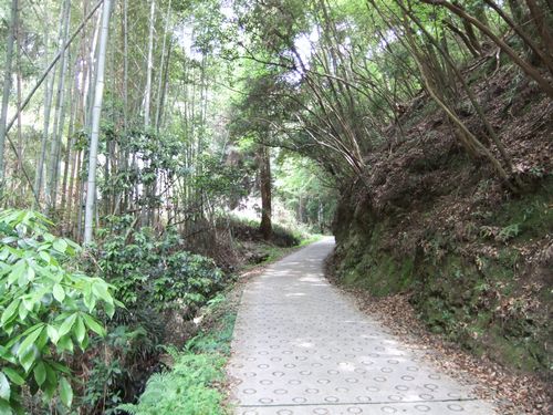 f0120102_2154730.jpg