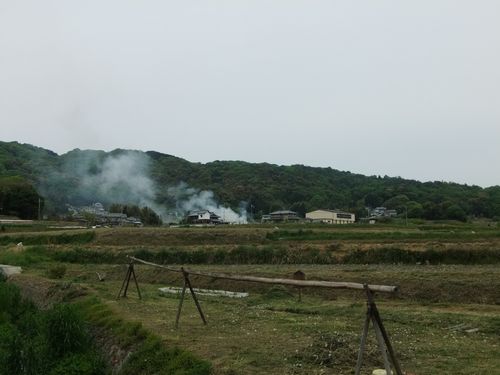f0120102_215864.jpg