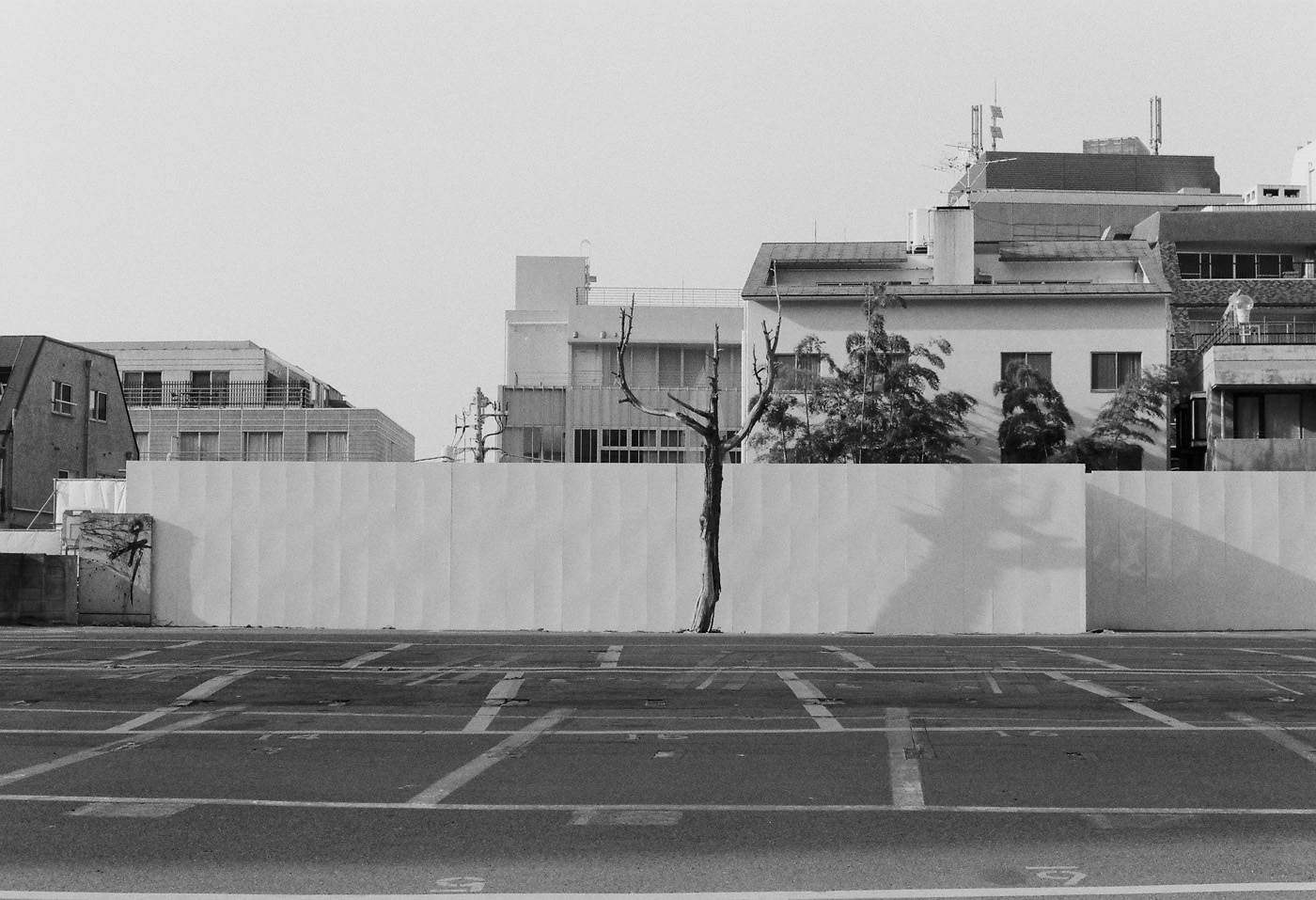 c0120903_1629789.jpg