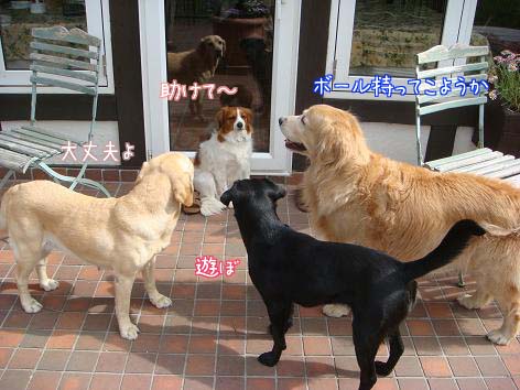 命がけの旅?_f0064906_18284583.jpg