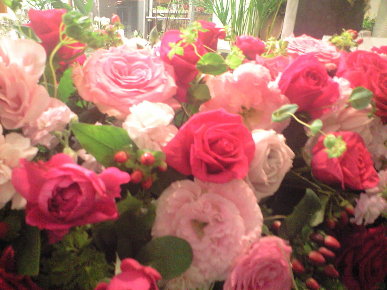 d0227610_0222226.jpg