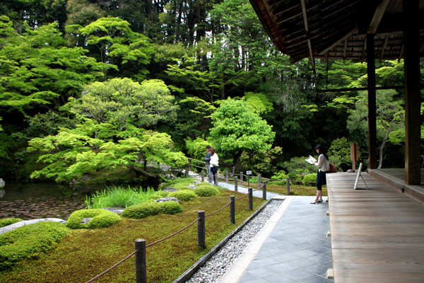 南禅院 青もみじ_e0048413_20173067.jpg